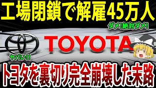 中国涙目wwwとんでもない量の工場が大量倒産…トヨタを裏切った中国の末路…トヨタが猛反撃！【海外の反応】【ゆっくり解説】