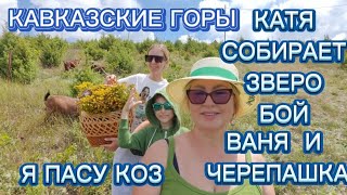 КАТЯ СОБИРАЕТ ЗВЕРОБОЙ | ВАНЯ И ЧЕРЕПАХА | Я ПАСУ КОЗ  | КАВКАЗСКИЕ ГОРЫ