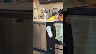 Parrot Is Stealing My Kitchen Utensils! / ANIMALS LOVER