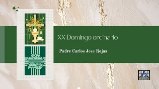 XX Domingo ordinario - Homilia