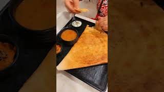 DOSA LOVE I SOUTH INDIAN FOOD LOVE #food #foodblogger #foodie #shorts #dosa