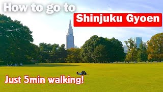 One of the Best National Garden in Tokyo: Shinjuku Gyoen [Shinjuku, Tokyo ]