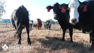 Inspiring story from long time Cattle Rancher, John Thomas in Citrus County, Florida