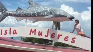 Swimming With Whale Sharks