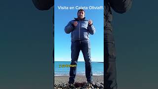 Día de trabajo en Caleta Olivia: capacitación 🧑🏻‍💻 y simulacro 👷🏻. Ahora también...Medición de PAT!!