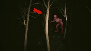 5 Real Humanoid Creature Sightings Caught On Tape