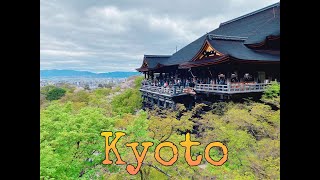 Passeggiata nella bellissima Kyoto