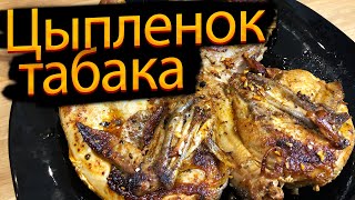 Цыпленок табака без табака