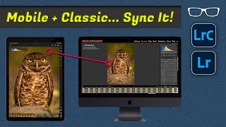Make it Work... Lightroom Mobile + Lightroom Classic Sync