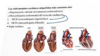 Cardiopatias congetitas