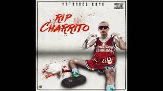 @natanaelcano777 - Rip Charrito [Tiraera Para Ovi] (Audio Oficial)