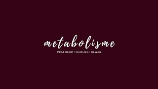 [PRAKTIKUM FISIOLOGI HEWAN] Menghitung Kecepatan Metabolisme