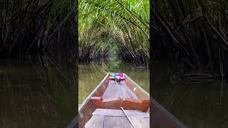 Longtail boat, Thailand surat thani