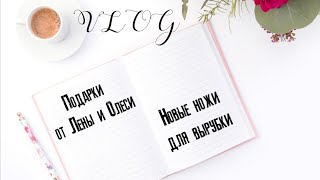 VLOG: подарки от Лены И Олеси, новые книги и ножи для вырубки