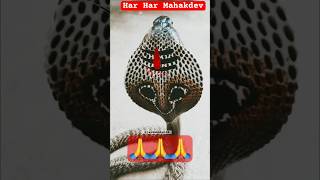 🙏Jai Bhole🙏Har Har Mahadev #shorts #mahadev #shiv #bhole #trending #youtubeshorts #snake