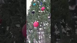 С Новым Годом! 🧑‍🎄🎄🌟