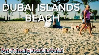 New DOG-FRIENDLY Public Beach in Dubai | DUBAI ISLANDS BEACH