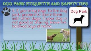 Dog Park Tips