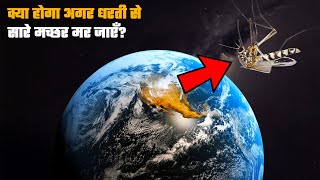 क्या होगा अगर धरती से सारे मच्छर मर जाएँ?