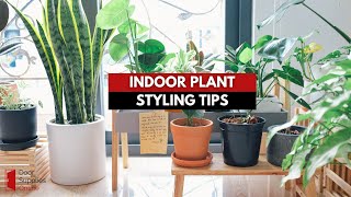 Transform Your Space with These Indoor Plant Styling Tips!