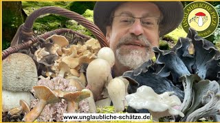 Pilze suchen im Oktober 2024 - Festival der Herbstpilze! Kleine Pilztour im Hauswald!