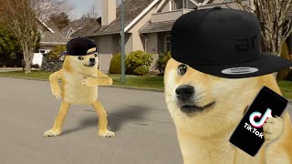 Doge does epic tiktok challenge