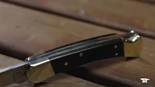 Buck's 110 Folding Hunter Knife