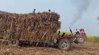 Massey tractor powerful stunt sugar load trolley