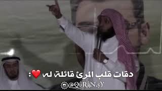 حالات واتس آب [ منصور السالمي ] دقات قلب المرئ..❤؛