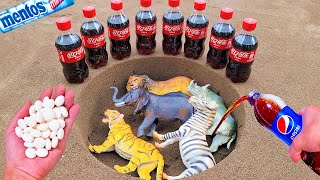 Experiment: How to Wildlife Buffalo Lion Tiger Elephant Zebra , Coca-Cola and Mentos & Popular Sodas