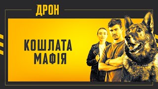 КОШЛАТА МАФІЯ | ДРОН | СЕРІЯ 27 | ДЕТЕКТИВНИЙ СЕРІАЛ #детектив #дрон #серіали2024