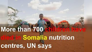 More than 700 children have died in Somalia nutrition centres, UN says