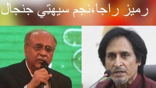 Pakistan Crikcet Board Chairmanship | Controversy going On