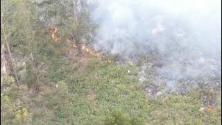 Incendio en Estancia La Providencia