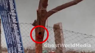 Real Blood Coming From Tree   Ghost Living In Tree   Most Shocking Video In India    supernatural