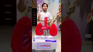 3d working modal on Lungs and speech given by Vidika Panwar in Exhibition | Lungs Modal