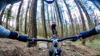 Heathen trail in Tollymore