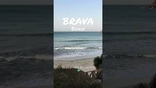 Playa Brava - #buziosrj  #riodejaneiro #shorts