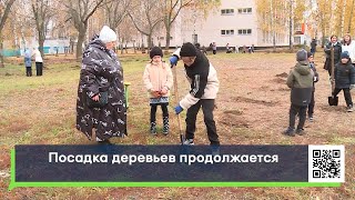 Посадка деревьев продолжается