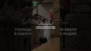 Чтец: Умайр Шамим |Красивое чтение Корана | #quran #islam