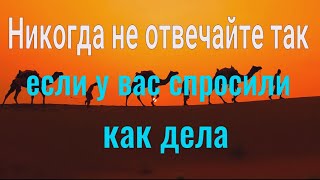 Идеальный ответ на вопрос "как дела"? который даст Вам силу и удачу!