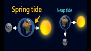 spring tides and neap tides| spring tides and neap tides diagram| spring and neap tides explained