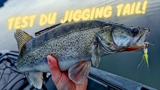 Le test du jigging tail sur les PERCHES et les SANDRES!