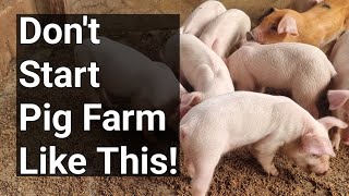 How NOT to Start A Pig Farm - Experts idea