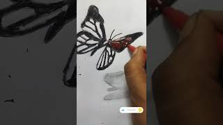 3D butterfly drawing #realistic butter fly drawing # shorts # drawing