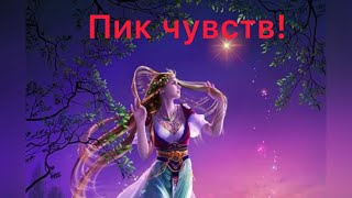 ✅ПИК ЧУВСТВ…Инсайт 4️⃣Диагностика/Психология/Эзотерика/#Безтаро