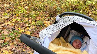 A Calming and Peaceful Autumn Walk with Reborn Baby Jaxson🍁🩵🍂