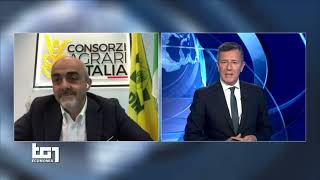 Grano e innovazione in agricoltura, diretta Tg1 Economia