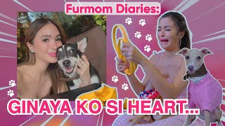 My Life As A Furmom + Get To Know My Italian Greyhound - ELLE | By Kris Bernal 💋