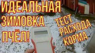 Идеальный вариант зимовки пчёл. Тёплая зимовка пчёл. Расход корма при зимовке.